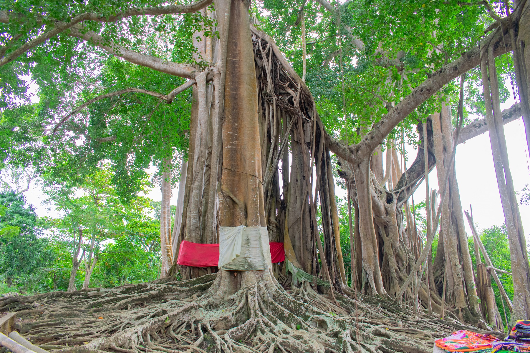 Działania na Nosy Iranja